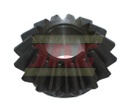 PINION Z16 605791