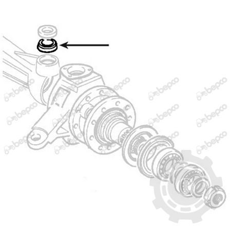 RULMENT PIVOT S62487