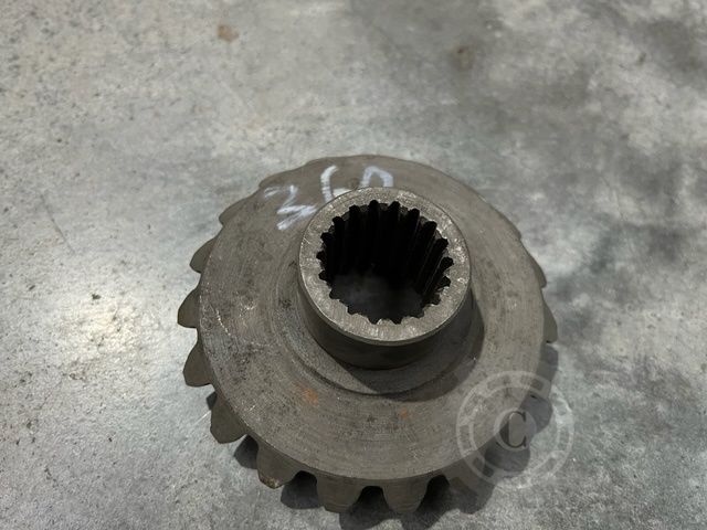 PINION Z19 ZIMBRU