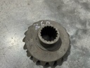 PINION Z19 ZIMBRU