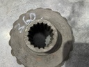 PINION Z19 ZIMBRU