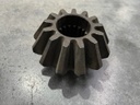 PINION ZIMBRU Z13