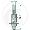 47712V55WH1 Bec cu halogen H1