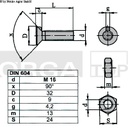 SURUB M16X100 CAP TORBANT 22510