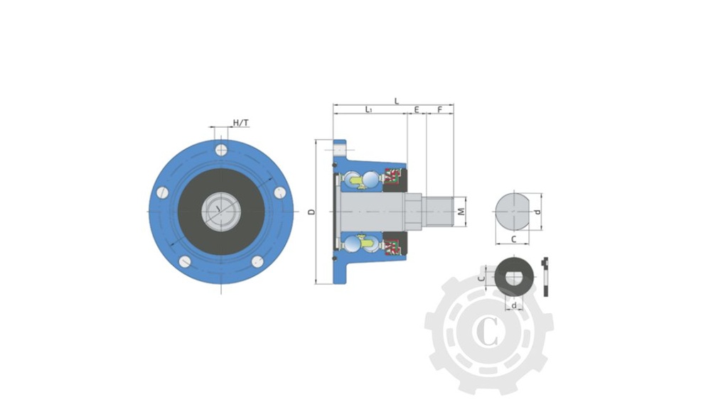 IL50-98/5T-M22(FKL)(ILD117 M22-5G)