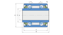 RULMENT SL5203-2T-A FKL