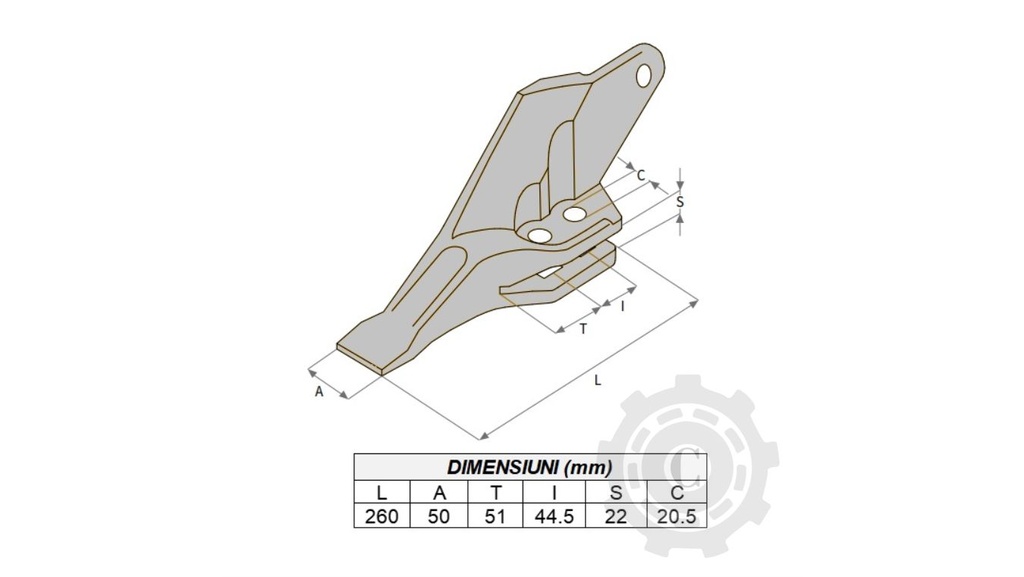 DINTE CUPA LATERAL STANGA