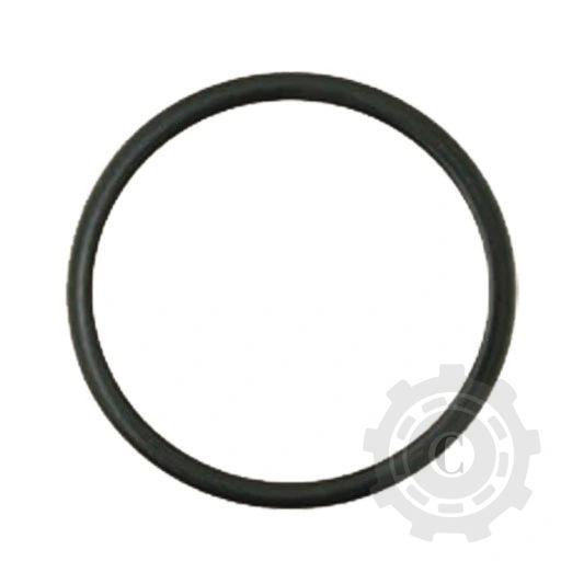 O-RING 74717121