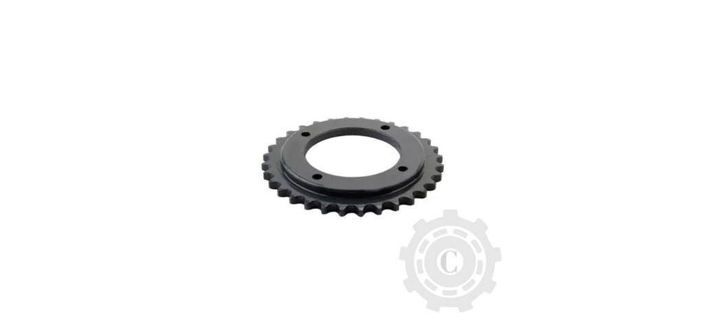 PINION 813562