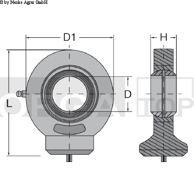 CAP ARTICULATIE FI20