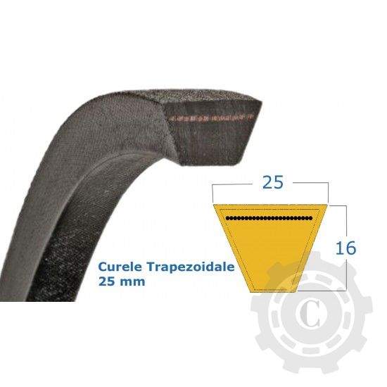 CUREA 25X1100 LI RUBENA