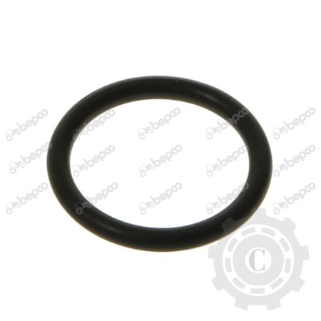 Pl O-ring