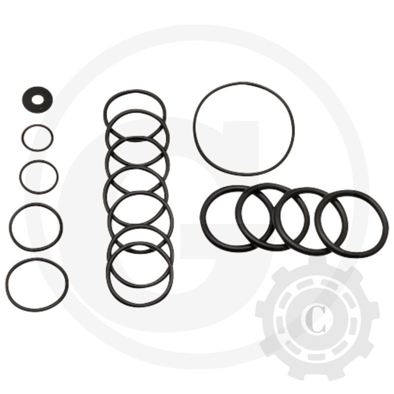 SET O-RINGURI Annovi Reverberi