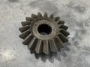 PINION Z19 ZIMBRU