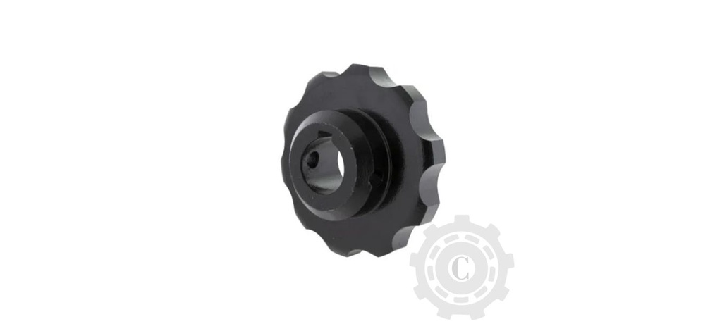 PINION Z10 032009 O.E.M