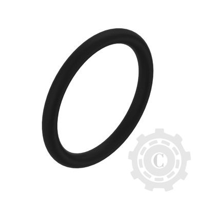 R56461 O-Ring