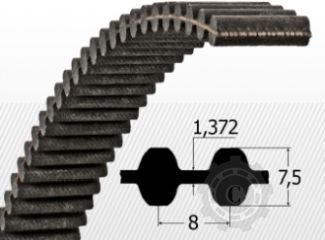 [CP062784] D-STD 8M 1600 DTE CUREA