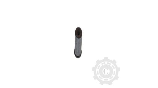 [CP066955] Bolt 669916