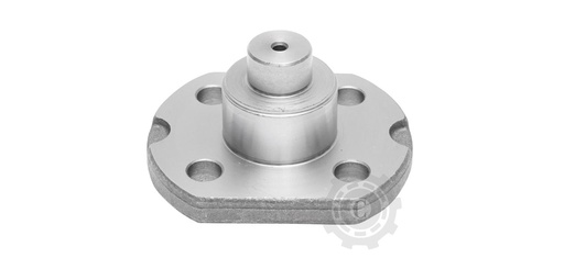 [CP066981] PIVOT PUNTE CARRARO