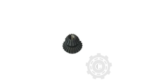 [CP067420] Pinion Grup 605587.1- (Z23)