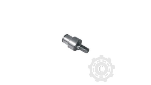 [CP067752] Bolt 772620