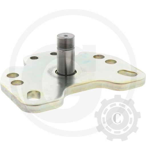 [CP069447] PLACA DE BAZA CU BOLT