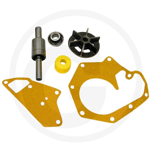 [CP001902] KIT REPARATIE POMPA APA JD