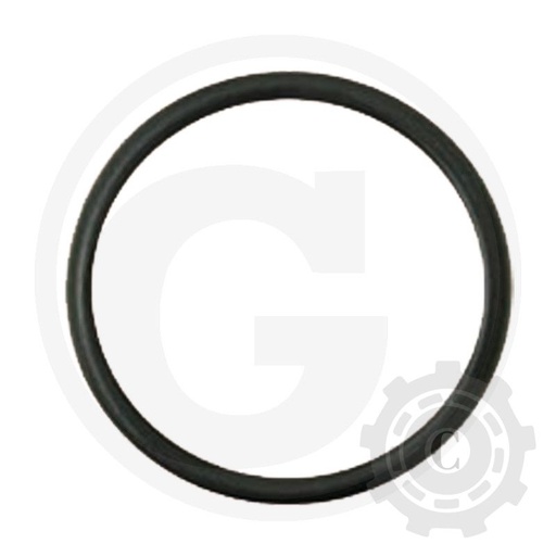 [CP001999] O-RING