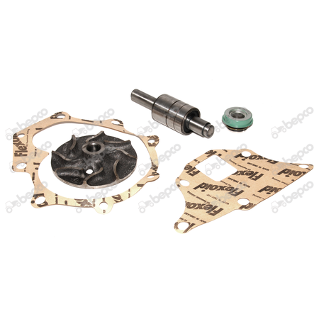 [CP009588] KIT REPARATIE POMPA APA 24/131-20