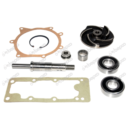 [CP026689] KIT REPARATIE POMPA APA MF