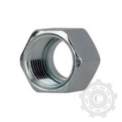 [CP016776] OLANDEZA S16 M24*1.5 415025