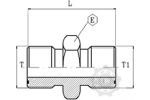 [CP020208] ADAPTOR DR FE ORFS 13/16-3/8 BSP