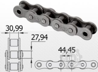 [CP026991] LANT 28B-1