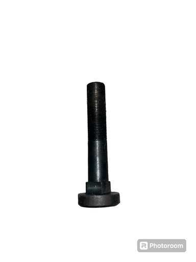 [CP021284] BOLT PLUG MOLDOVENESC LUNG