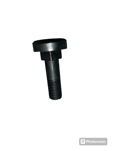 [CP021285] BOLT PLUG MOLDOVENESC SCURT