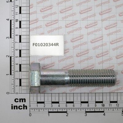 [CP001712] F01020344R SURUB M24X100 U5737 10.9 ZN