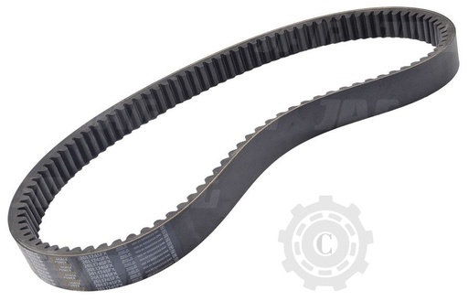 [CP011000] CUREA 667248.0 ALPHA BELTS