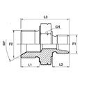 ADAPTOR DR FE G08 1/2 M24X1.5S