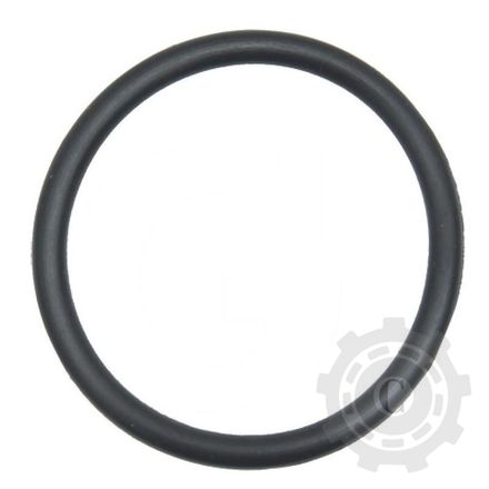 [L169998] L169998 O-Ring