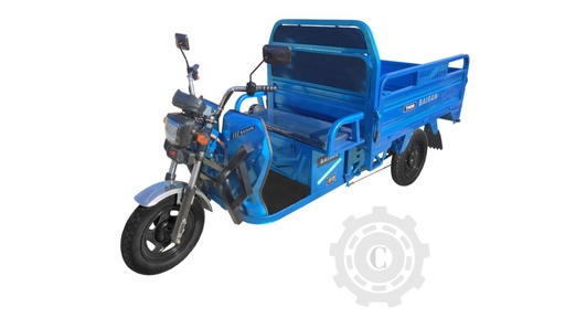 [CP060605] TRICICLU ELECTRIC TUK-TUK THOR BAISAN